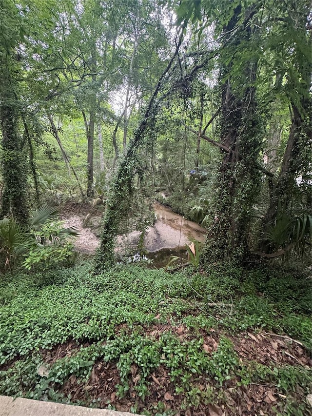 1515 NW 29th Rd Unit E3, Gainesville, FL 32605 - view of local wilderness