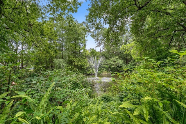 5328 NW 9th Ln, Gainesville, FL 32605 - view of nature featuring a large body of water