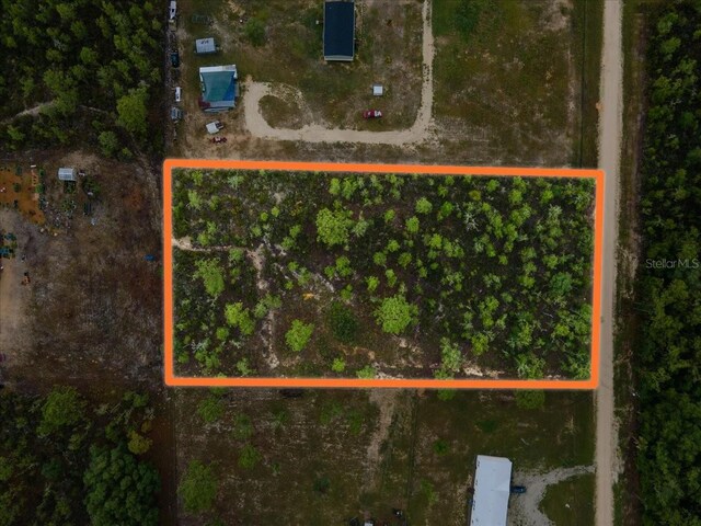 NE 154th Ave, Williston, FL 32696 - photo 1