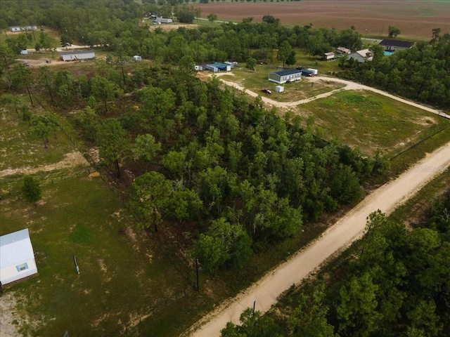 NE 154th Ave, Williston, FL 32696 - photo 5