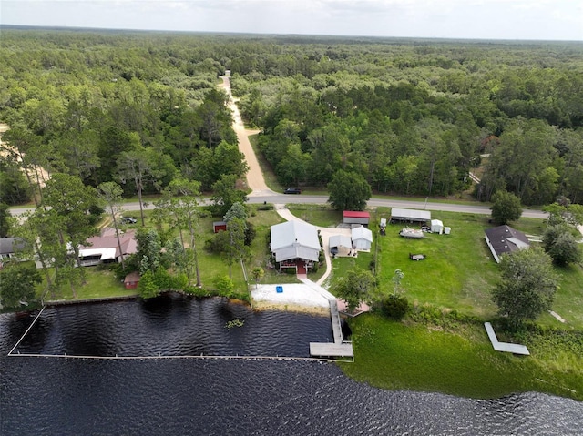 131 Ida Blvd, Interlachen, FL 32148 - aerial view of a forest and a large body of water