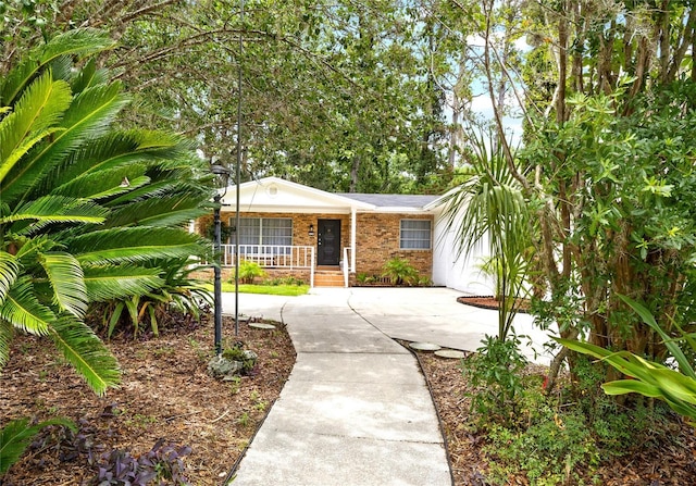 3736 NW 7th Ave, Gainesville, FL 32607 - photo 33