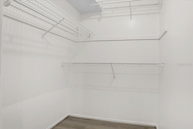1700 SW 16th Ct Unit E30, Gainesville, FL 32608 - spacious closet with wood finished floors