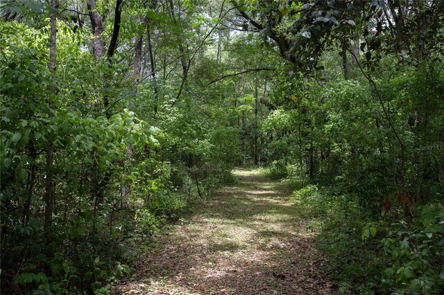 6207 NW County Road 235, Alachua, FL 32615 - photo 54