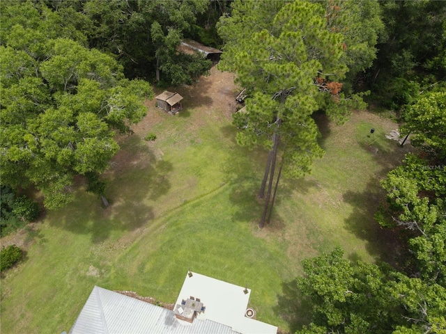 6207 NW County Road 235, Alachua, FL 32615 - photo 56