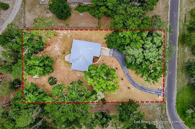 5070 NE 52nd Pl, High Springs, FL 32643 - photo 40