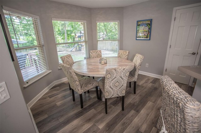 2361 Sandy Run Dr N, Middleburg, FL 32068 - dining room with plenty of natural light and dark wood-type flooring