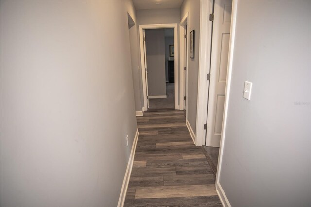2361 Sandy Run Dr N, Middleburg, FL 32068 - hall featuring dark wood finished floors and baseboards