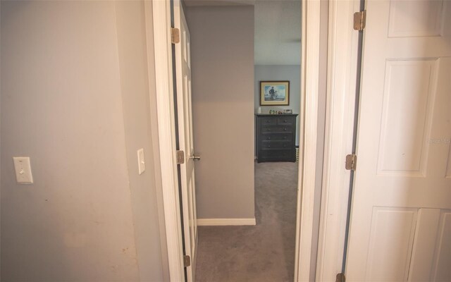 2361 Sandy Run Dr N, Middleburg, FL 32068 - hall with carpet floors and baseboards
