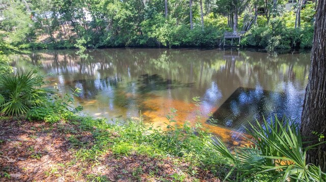 2361 Sandy Run Dr N, Middleburg, FL 32068 - water view