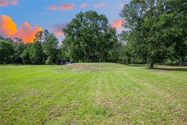 14727 SW 92nd St, Lake Butler, FL 32054 - yard at dusk featuring a lawn