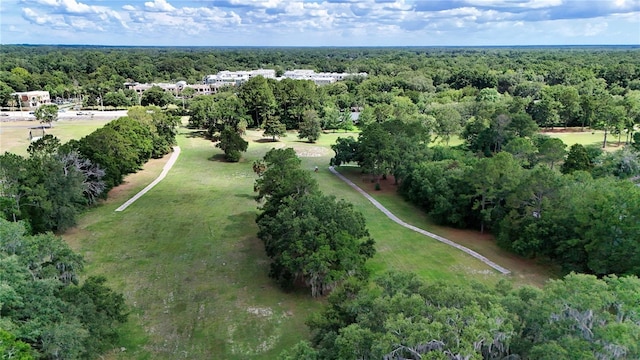 13200 W Newberry Rd Unit T110, Newberry, FL 32669 - aerial view of a forest