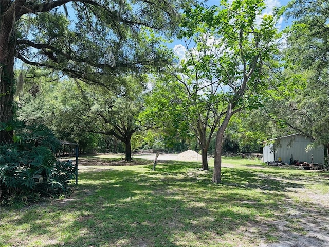 10250 NW 60th St, Chiefland, FL 32626 - photo 2