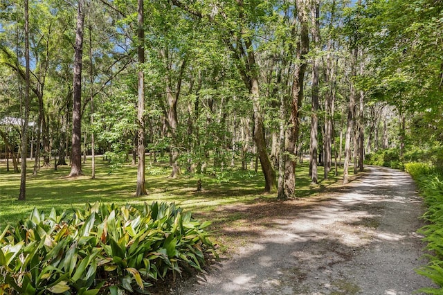 2809 SW 81st St, Gainesville, FL 32608 - view of community