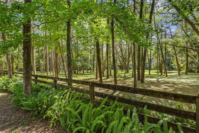2809 SW 81st St, Gainesville, FL 32608 - view of nature