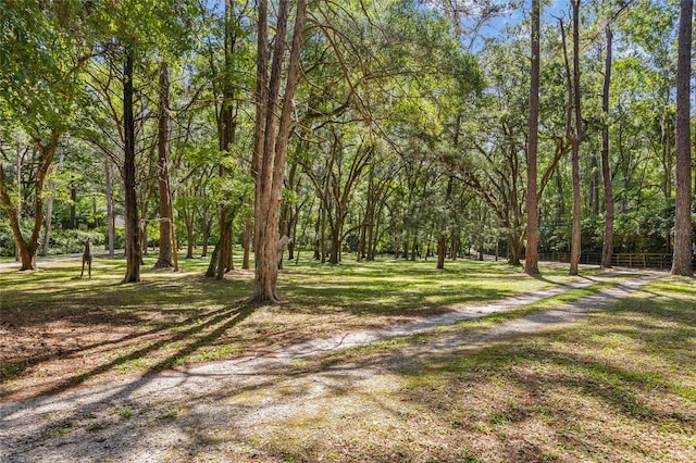 2809 SW 81st St, Gainesville, FL 32608 - view of green lawn