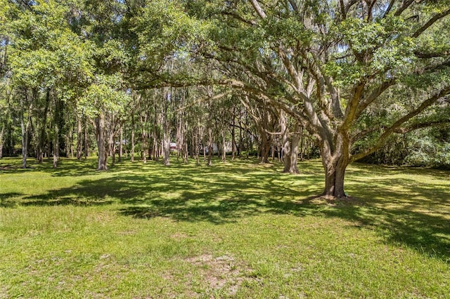 2809 SW 81st St, Gainesville, FL 32608 - view of grassy yard
