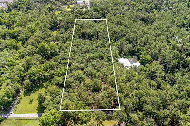 2809 SW 81st St, Gainesville, FL 32608 - aerial view of property and surrounding area featuring property boundaries highlighted and a forest