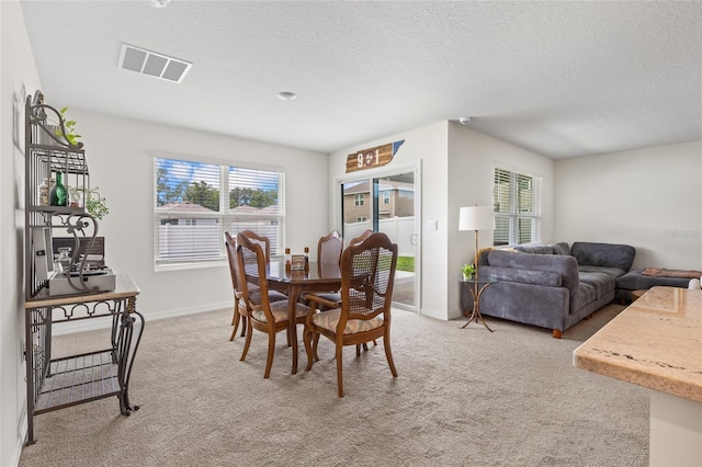 17562 NW 172nd Ave, Alachua, FL 32615 - photo 9