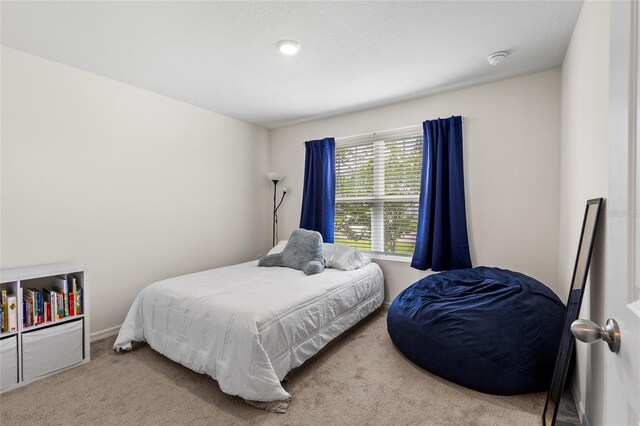 17562 NW 172nd Ave, Alachua, FL 32615 - photo 16