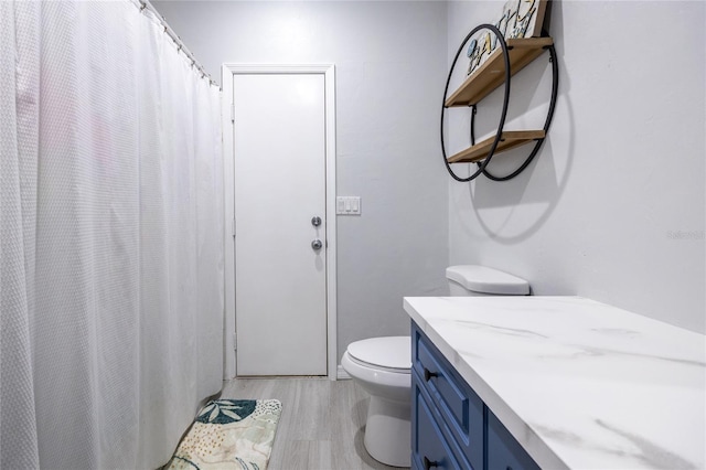 9911 NW 24th Pl, Gainesville, FL 32606 - bathroom featuring vanity, wood finished floors, and curtained shower