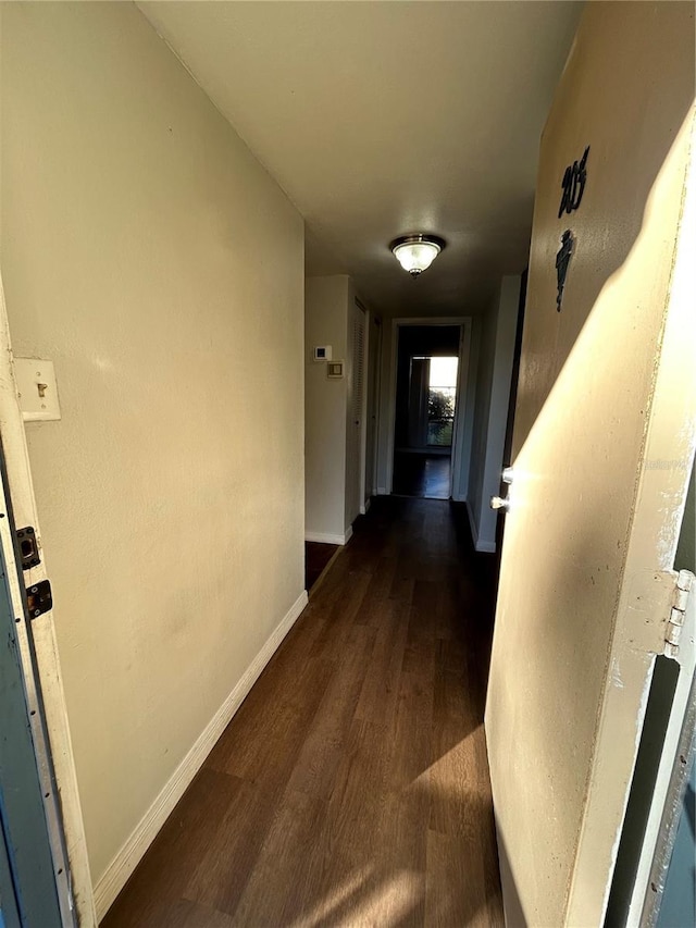 2811 SW Archer Rd Unit X203, Gainesville, FL 32608 - corridor featuring dark wood-style floors and baseboards