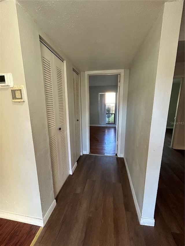 2811 SW Archer Rd Unit X203, Gainesville, FL 32608 - corridor featuring wood finished floors and a textured ceiling