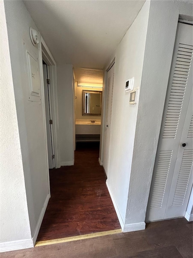 2811 SW Archer Rd Unit X203, Gainesville, FL 32608 - corridor with wood finished floors and electric panel