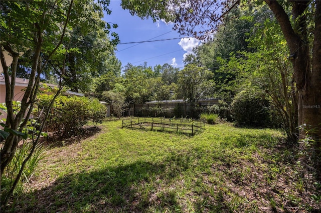 1814 NE 7th St, Gainesville, FL 32609 - view of yard