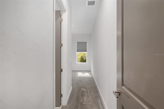11890 SW 33rd Ln, Gainesville, FL 32608 - hall with carpet and baseboards