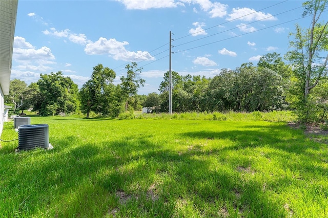 9011 N Travis Dr, Citrus Springs, FL 34434 - view of yard