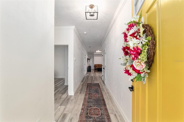 1425 SW 67th Dr, Gainesville, FL 32607 - hallway with light wood-type flooring and crown molding