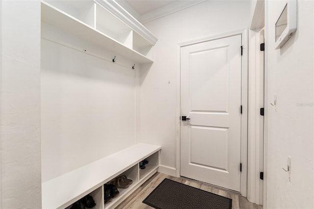 1425 SW 67th Dr, Gainesville, FL 32607 - mudroom with light wood-type flooring and ornamental molding