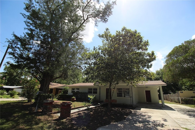 706 NE 24th St, Gainesville, FL 32641 - ranch-style house with driveway, an attached carport, and stucco siding