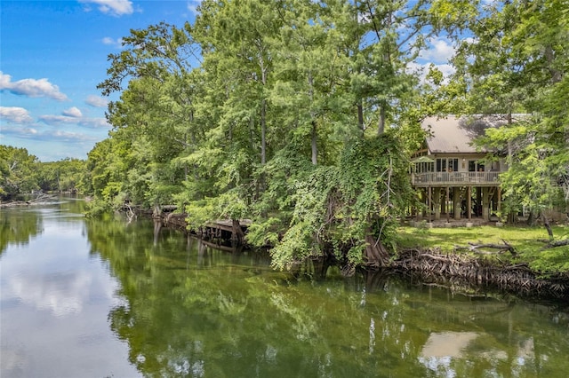 174 SW Meridian Ct, Fort White, FL 32038 - water view featuring a heavily wooded area
