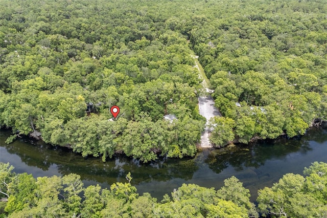 174 SW Meridian Ct, Fort White, FL 32038 - aerial view of property's location with a forest and a large body of water