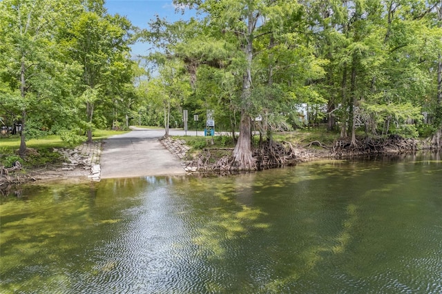 174 SW Meridian Ct, Fort White, FL 32038 - water view