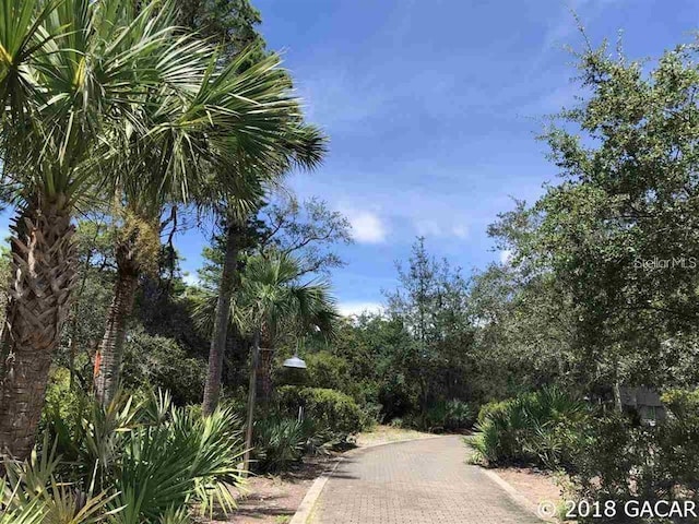 12290 Anchor Cove Dr, Cedar Key, FL 32625