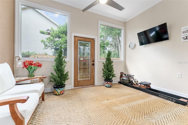 552 NW 136th St, Newberry, FL 32669 - foyer entrance with crown molding, a ceiling fan, and plenty of natural light