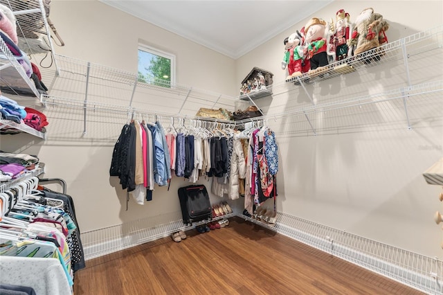 552 NW 136th St, Newberry, FL 32669 - spacious closet featuring wood finished floors