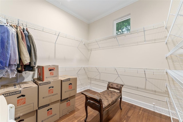 552 NW 136th St, Newberry, FL 32669 - spacious closet featuring light wood-type flooring