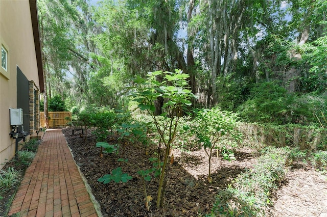552 NW 136th St, Newberry, FL 32669 - view of yard