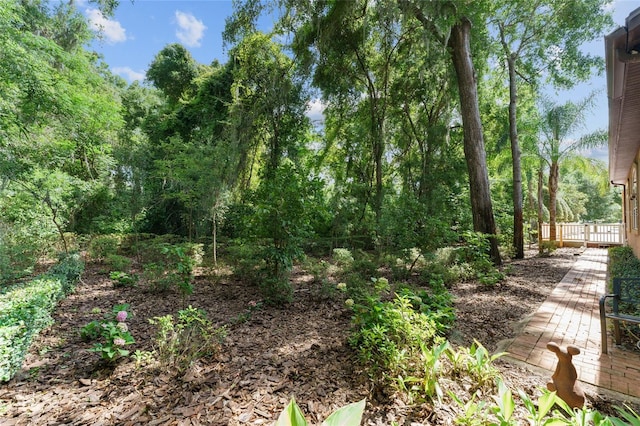 552 NW 136th St, Newberry, FL 32669 - view of undeveloped land