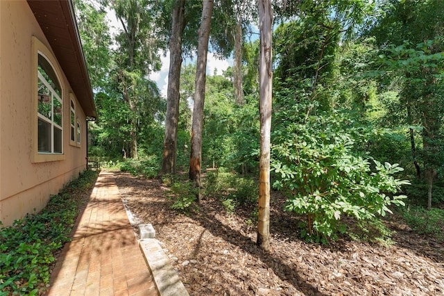 552 NW 136th St, Newberry, FL 32669 - view of yard
