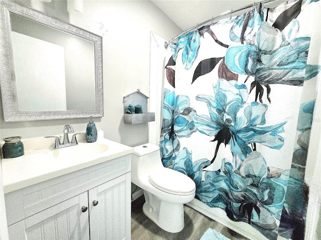 4110 NW 44th Dr Unit 0, Gainesville, FL 32606 - full bathroom featuring vanity, wood finished floors, and a shower with curtain