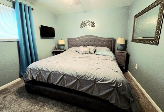 4110 NW 44th Dr Unit 0, Gainesville, FL 32606 - carpeted bedroom with baseboards and ceiling fan