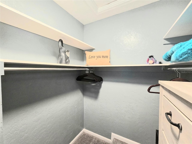 4110 NW 44th Dr Unit 0, Gainesville, FL 32606 - view of spacious closet