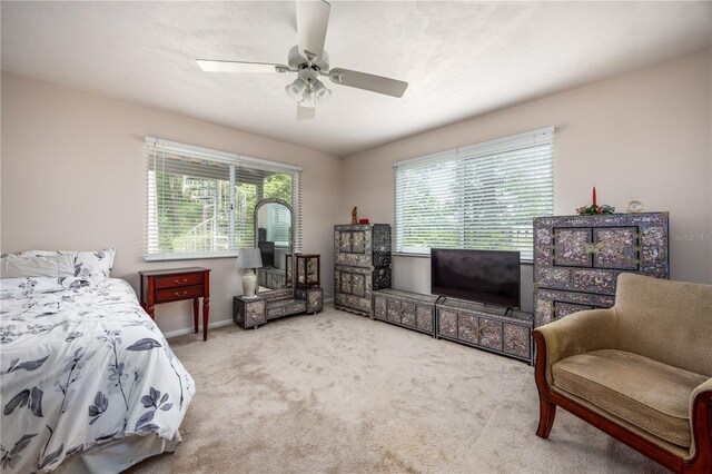4616 NW 57th Dr, Gainesville, FL 32606 - photo 31