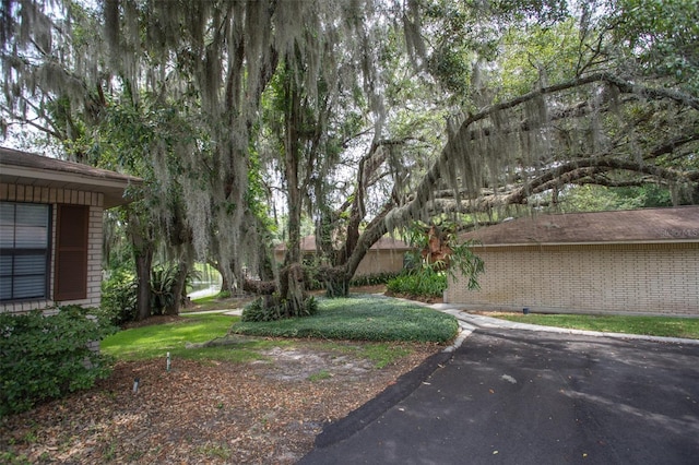 3051 SE State Road 21 Unit 7, Melrose, FL 32666 - photo 4