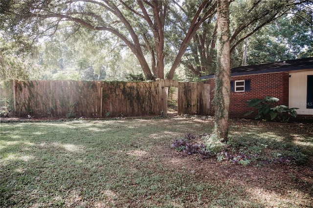 9835 NW 6th Pl, Gainesville, FL 32607 - view of yard